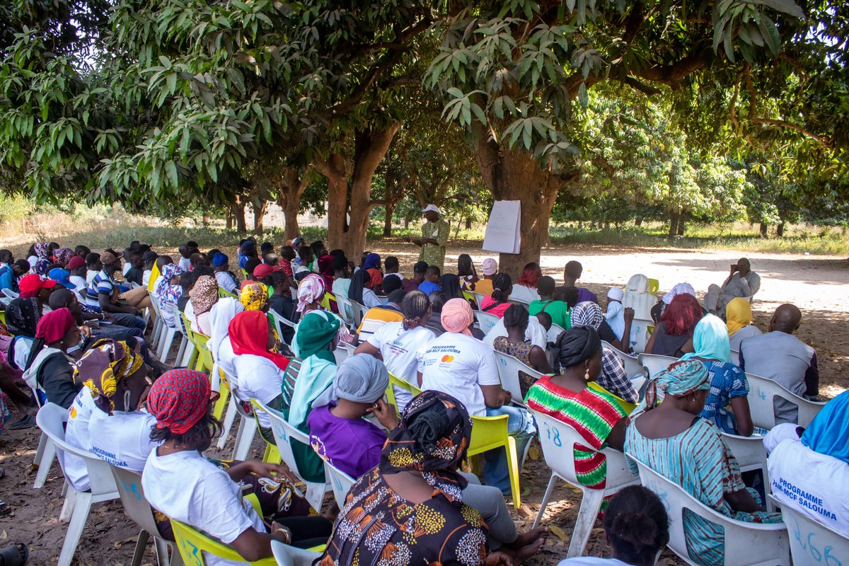 Cncr_Senegal's tweet image. Jour 2 #CampClimatCNCR
Les jeunes campeurs, désormais imprégnés sur les enjeux liés à la révision de la Loi Agro -Sylvo Pastorale
Le #Cncr fait de la promotion des jeunes producteurs agricole une de ses priorités et a tenu à les impliquer dans le processus de révision de #LAOSP