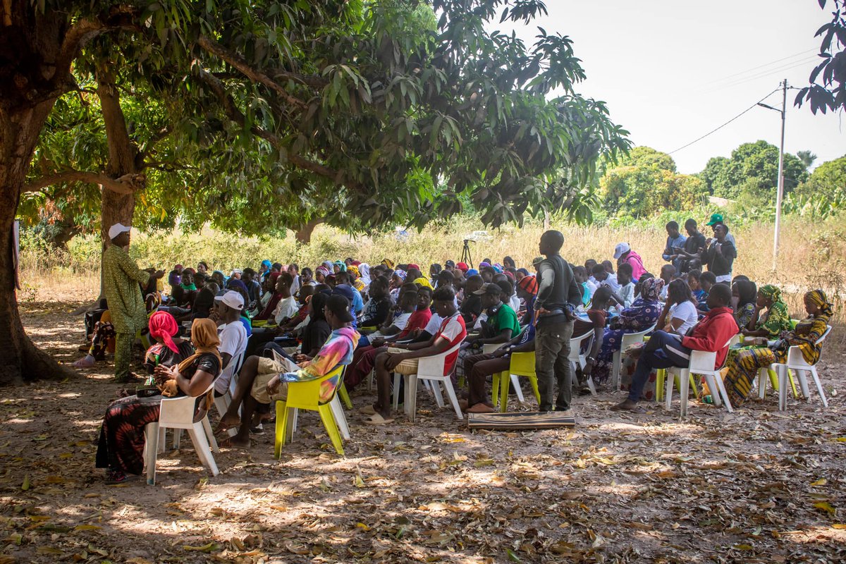 Cncr_Senegal's tweet image. Jour 2 #CampClimatCNCR
Les jeunes campeurs, désormais imprégnés sur les enjeux liés à la révision de la Loi Agro -Sylvo Pastorale
Le #Cncr fait de la promotion des jeunes producteurs agricole une de ses priorités et a tenu à les impliquer dans le processus de révision de #LAOSP