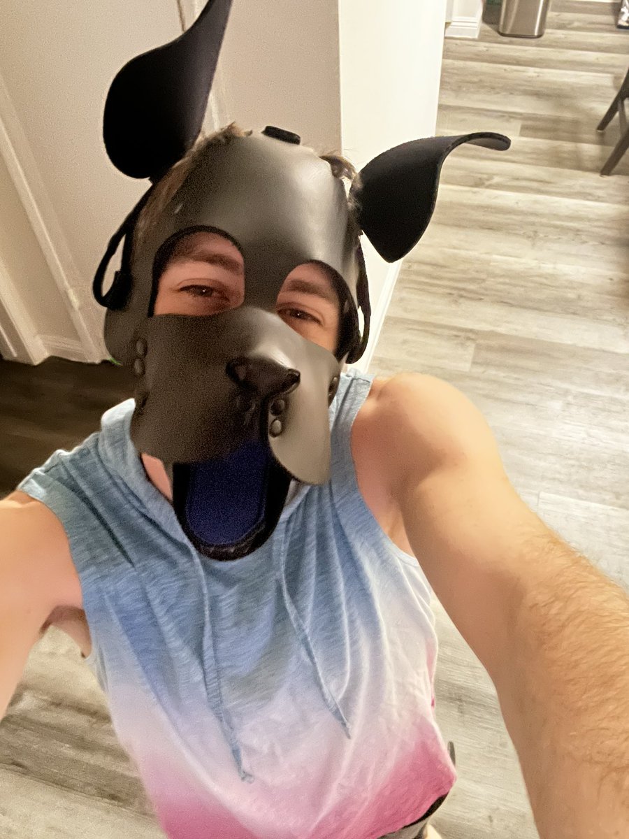 puppanic1's tweet image. Trying this whole how long I can go kinda thing so I’ll keep this going till the new year 
❤️=1-hour
Comment=4 hours
Retweet =1 day
Follower=1 day
Although due to relationship status and rules I won’t be posting nude checks