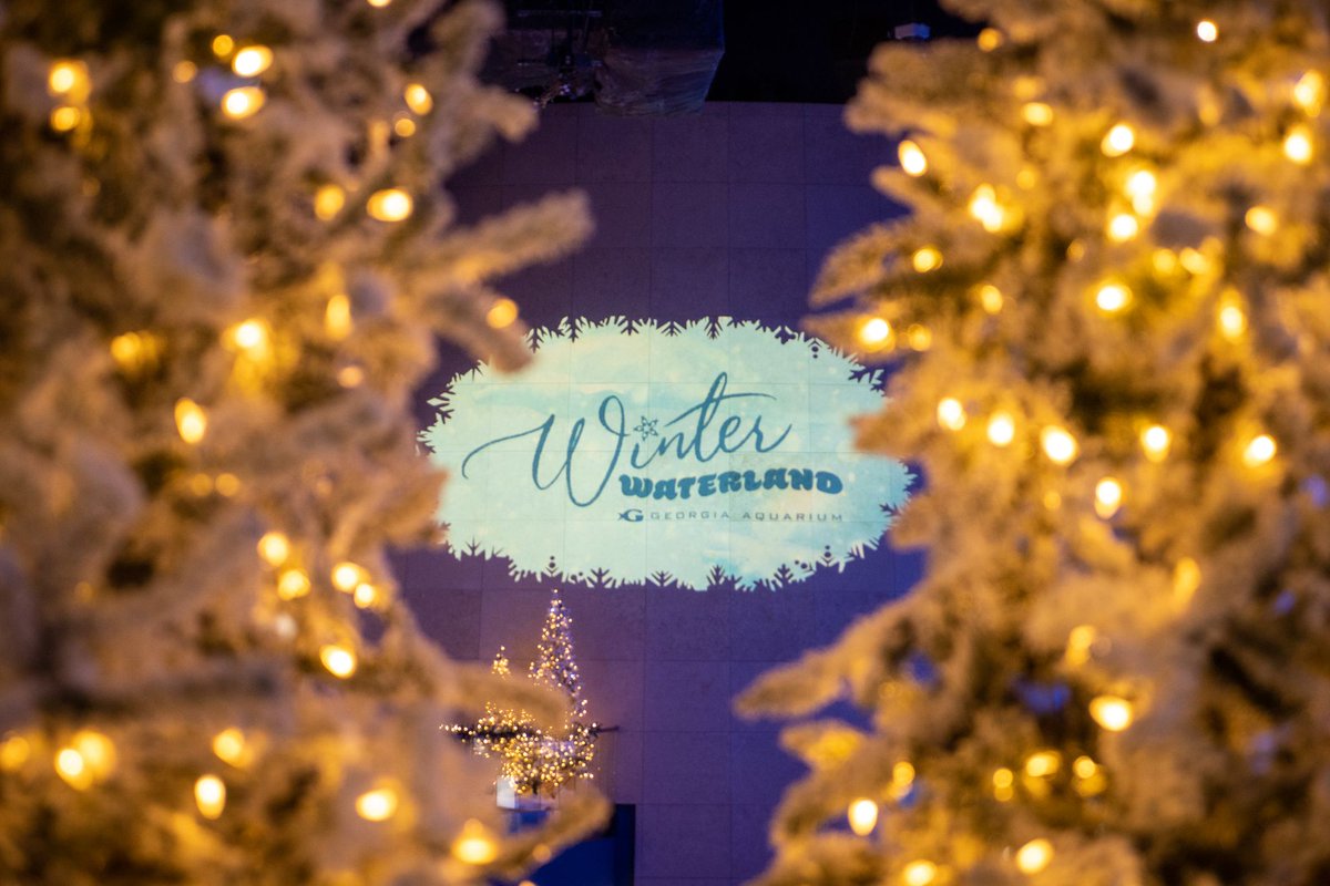 COFI_ATL's tweet photo. Thank you @georgiaaquarium for this enchanting experience. Let’s keep the festivities going! 🎉✨ #COFICares #CareIsOurPriority #CareOneFranchiseInc https://t.co/wM0jkzN0XT