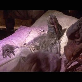 LSDonTV's tweet photo. The Democratic Party has elected the Skeksis Emperor as the Chairman of the Democratic Caucus https://t.co/6QqnmKF6kS