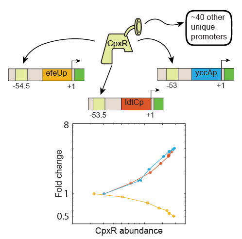 Brewster Lab tweet media