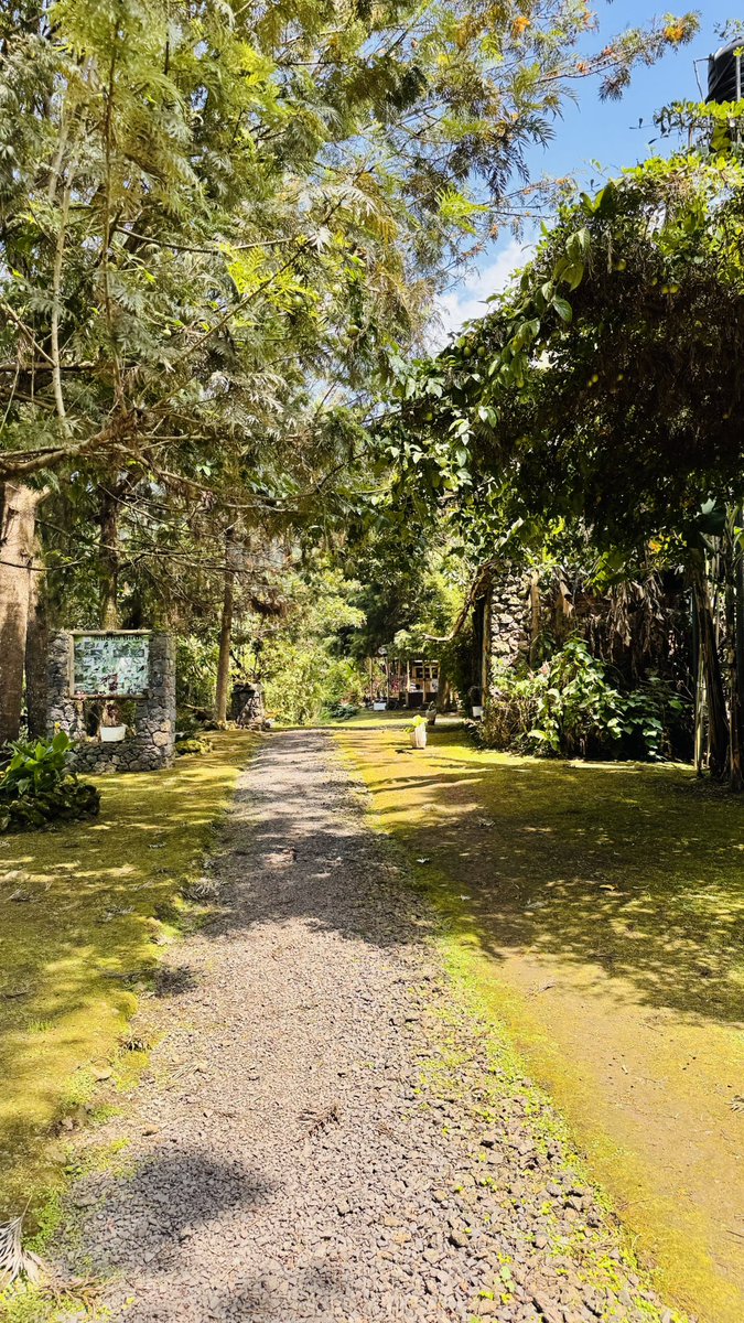 The Mucha Spa is now Open 🌅
#visituganda 
#VisitKisoro
#hometothemountaingorillas 
#homeawayfromhome 
#mgahinganationalpark 
#bwindiimpenetrablenationalpark 
#goldenmonkeys
#batwacommunity 
#lakemutanda 
#virungamountains 
#riverside
