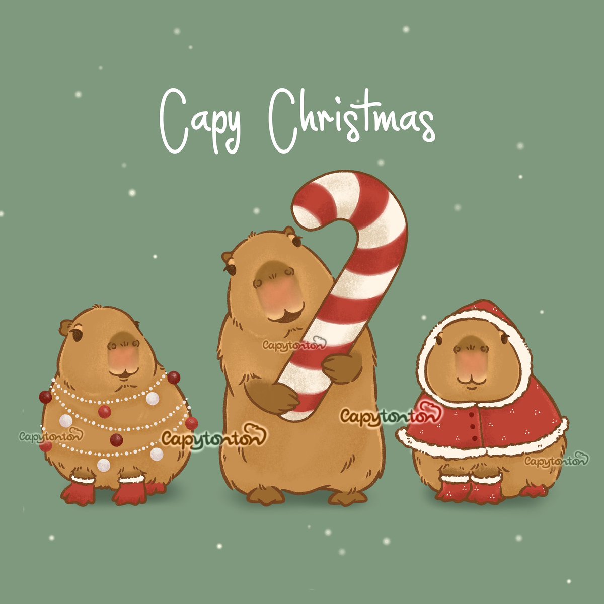 capytonton's tweet photo. Capy Christmas 🎄
#capybara #capytonton #Christmas https://t.co/z5XRSW5Jc9
