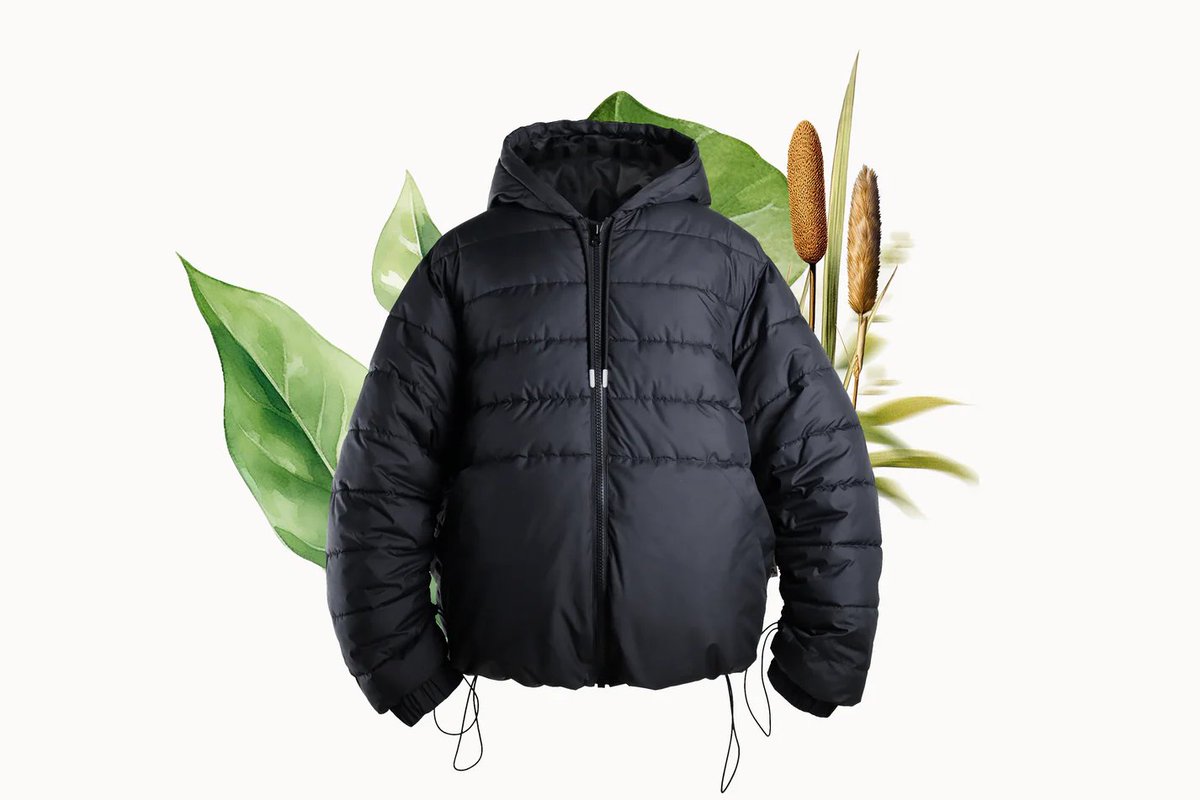 materialdistrct's tweet photo. From Wetlands to Warmth: BioPuff and the Future of Regenerative Materials https://t.co/KsBm540YKk

#materialinspiration #SustainableFashion #MaterialInnovation #BioPuff #EcoFriendlyFashion #SustainableDesign  #CircularEconomy #BiobasedMaterials #GreenMaterials https://t.co/4kfTDQmVrx