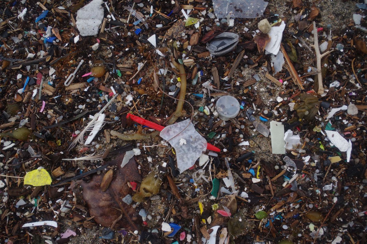 Roundhouse Aquarium tweet media