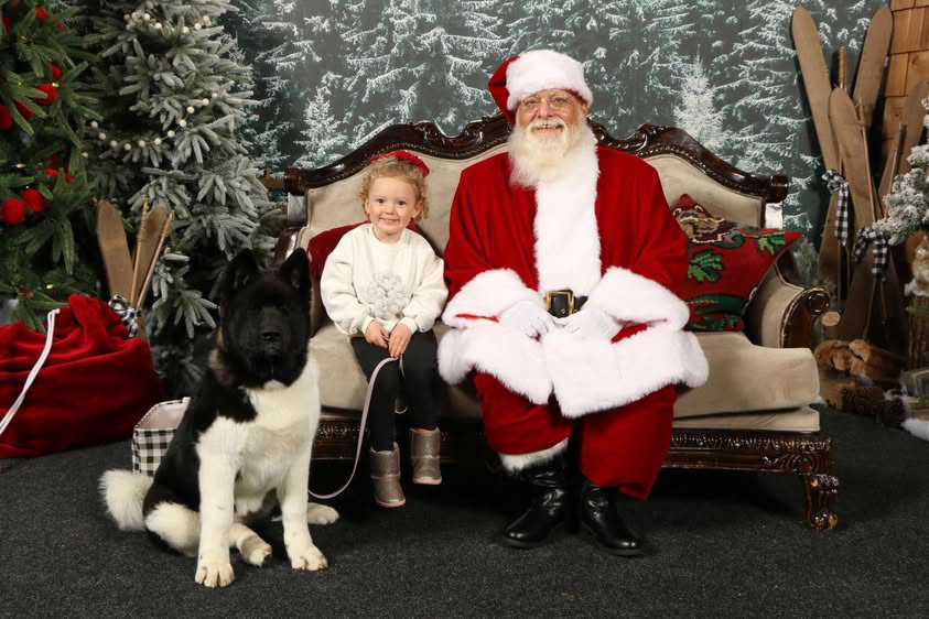 It's the final week for Pet Photos with Santa at #NNTC ⁠🎅🐕️⁠
⁠
Bring your pets to visit Santa Tuesday and Thursday: 12pm-3pm &amp; 4pm-7pm ⁠
⁠
Skip the lines by booking your spot online: bit.ly/NNTCBookSanta
⁠
🐶: @outlanderakitas⁠ #nanaimoevents
