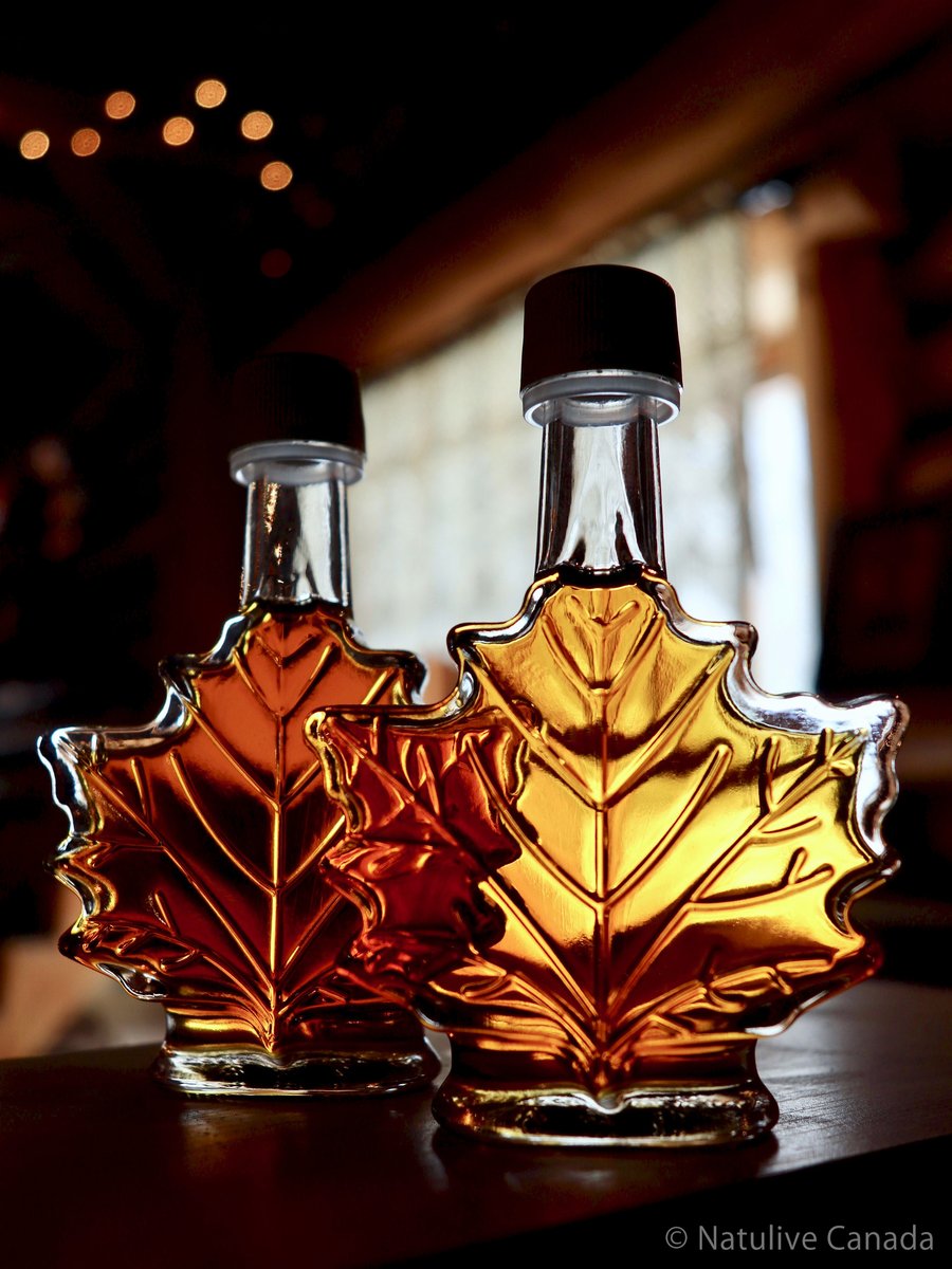 araprocanada's tweet image. 12月17日はメープルシロップの日🍁　パンケーキにかけるのが定番ですが、実は醤油とも相性GOOD👍　鶏肉を醤油＋メープルシロップ＋ニンニク＋生姜に漬け込んで焼く照り焼きチキンがおすすめ🍗　保存容器で漬け込み冷凍して、食べる前日に冷蔵庫で解凍してからグリルするのもおすすめ😊
#MapleSyrupDay