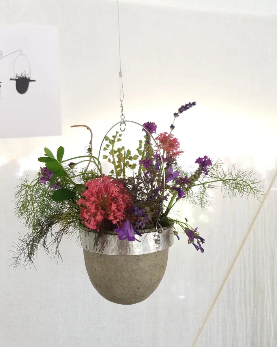 Blue Patch | Sustainably-Minded Business Community tweet media