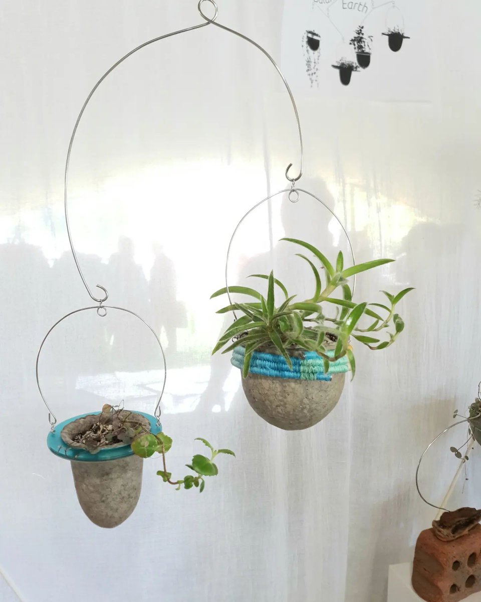 Blue Patch | Sustainably-Minded Business Community tweet media