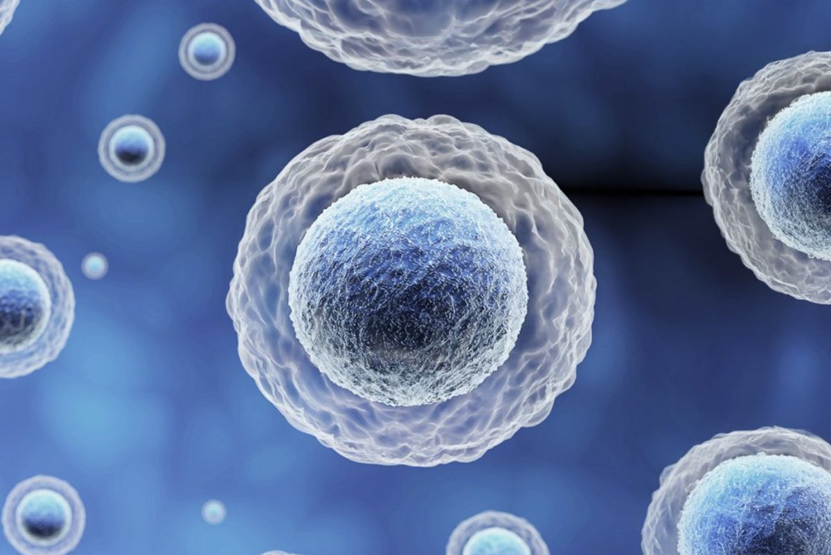 LongevityTech's tweet image. French startup aims to accelerate drug discovery via ‘digital twins’ of cells
DeepLife secures $10m to advance #AI platform designed to identify molecular triggers capable of driving diseased cells into a healthy state.
#biotech #investment #drugdiscovery
longevity.technology/news/french-st…