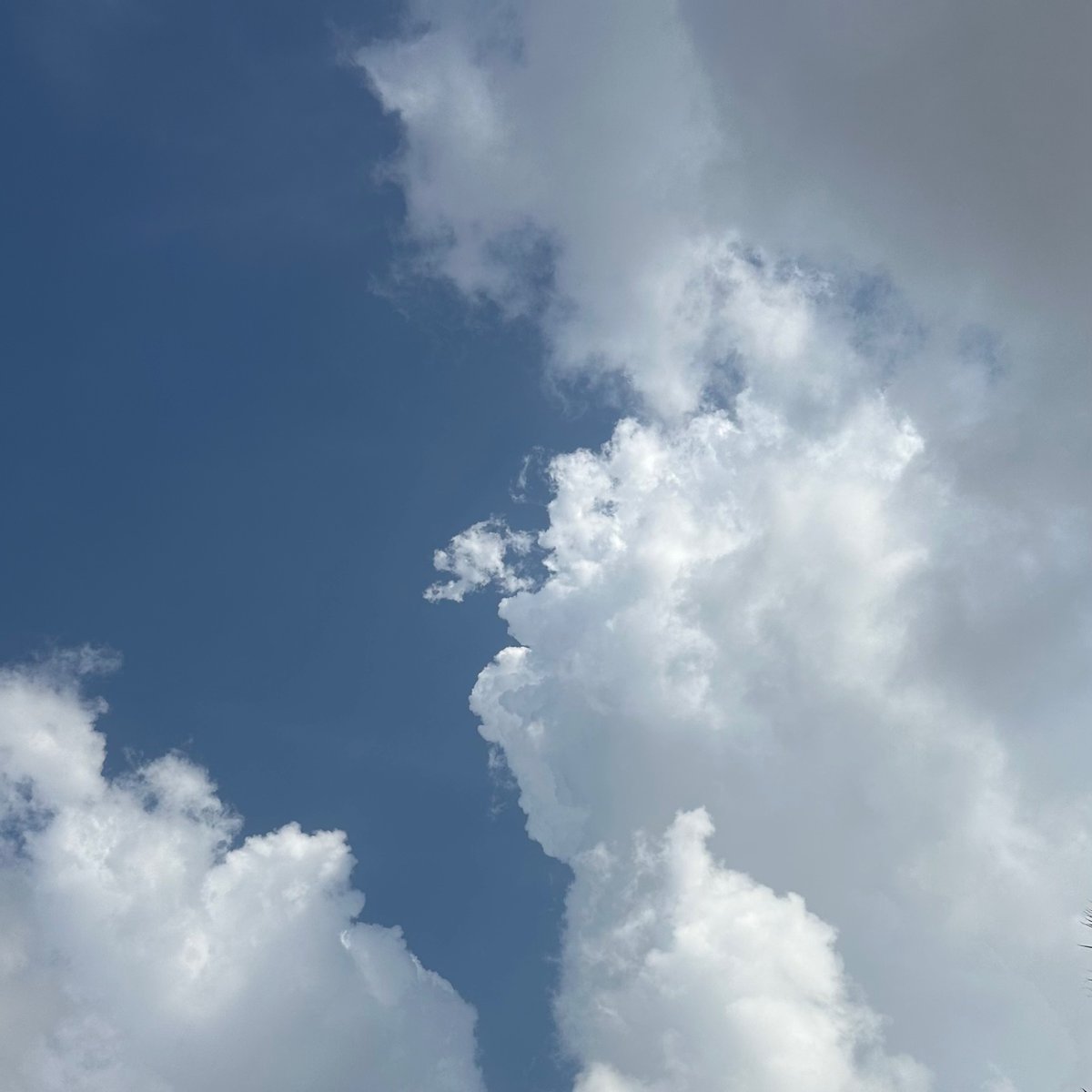 "أولى مراحل ضبط النفس هي عِلمُك أنها لن تنضبط أبداً ، و أنك معها في توجيه دائم و تقويمٍ مستمر.. على هذا فُطِرَت و على هذا سَتَبقى..
فلا تجزع من الميل جزع اليائس ، و كذلك لا تغرنك الاستقامة غرور الآمن "