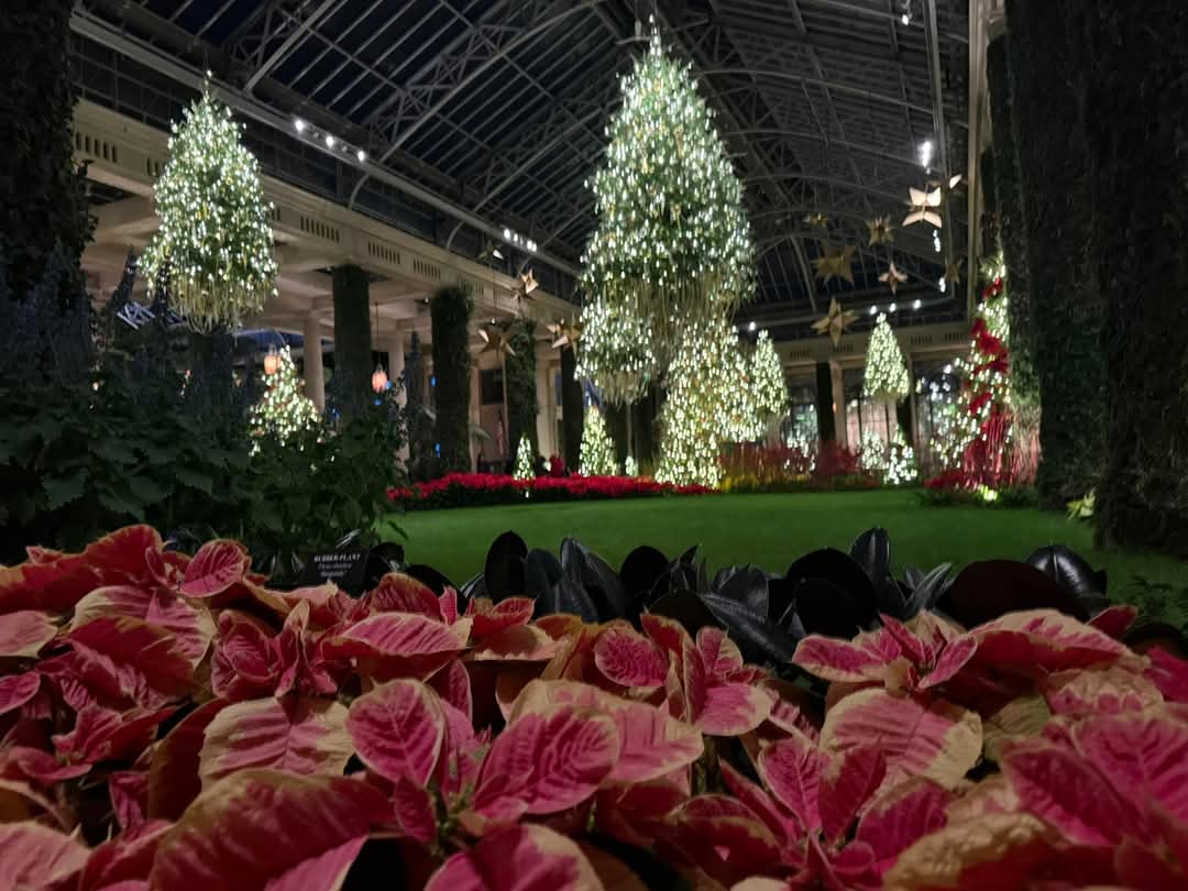 Bebopalooi's tweet photo. #LongwoodGardensPA 3) https://t.co/G3NuDTlEN0