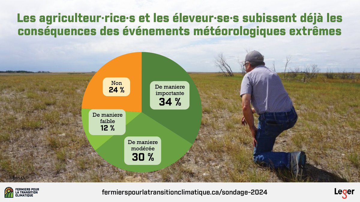 La majorité des exploitations agricoles font déjà face à des événements météorologiques extrêmes dus aux changements climatiques. Ces 5 dernières années, + de 75 % ont été touchées.

Les résultats de notre récent sondage avec <a href="/leger360/">Léger</a> : fermierspourlatransitionclimatique.ca/sondage-2024