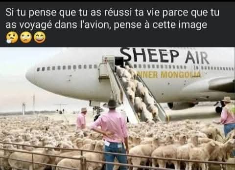 Rebo_Ardo's tweet photo. Comprenez que l'avion est juste un moyen de transport ce ne pas la réussite de la vie. https://t.co/XEgcagkHbU