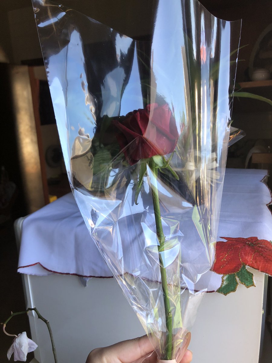 dei uma rosa (tal qual Roberto Carlos) para o meu namorado - ele amou como podem ver pela cara dele 🌹☺️