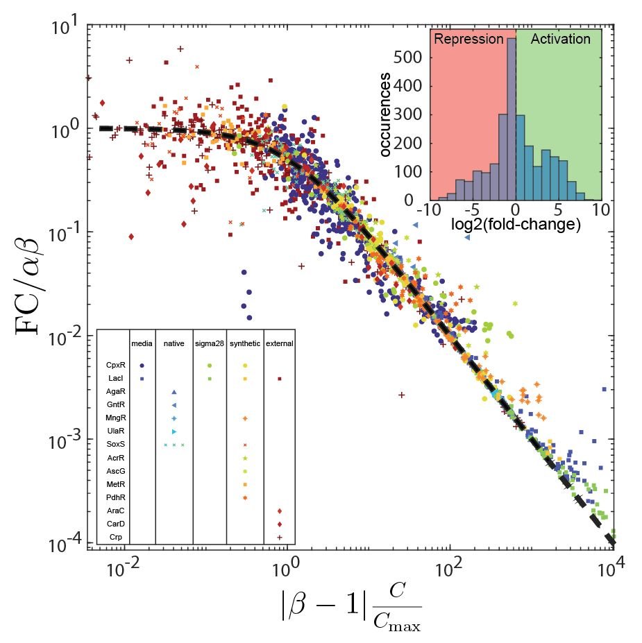 Brewster Lab tweet media