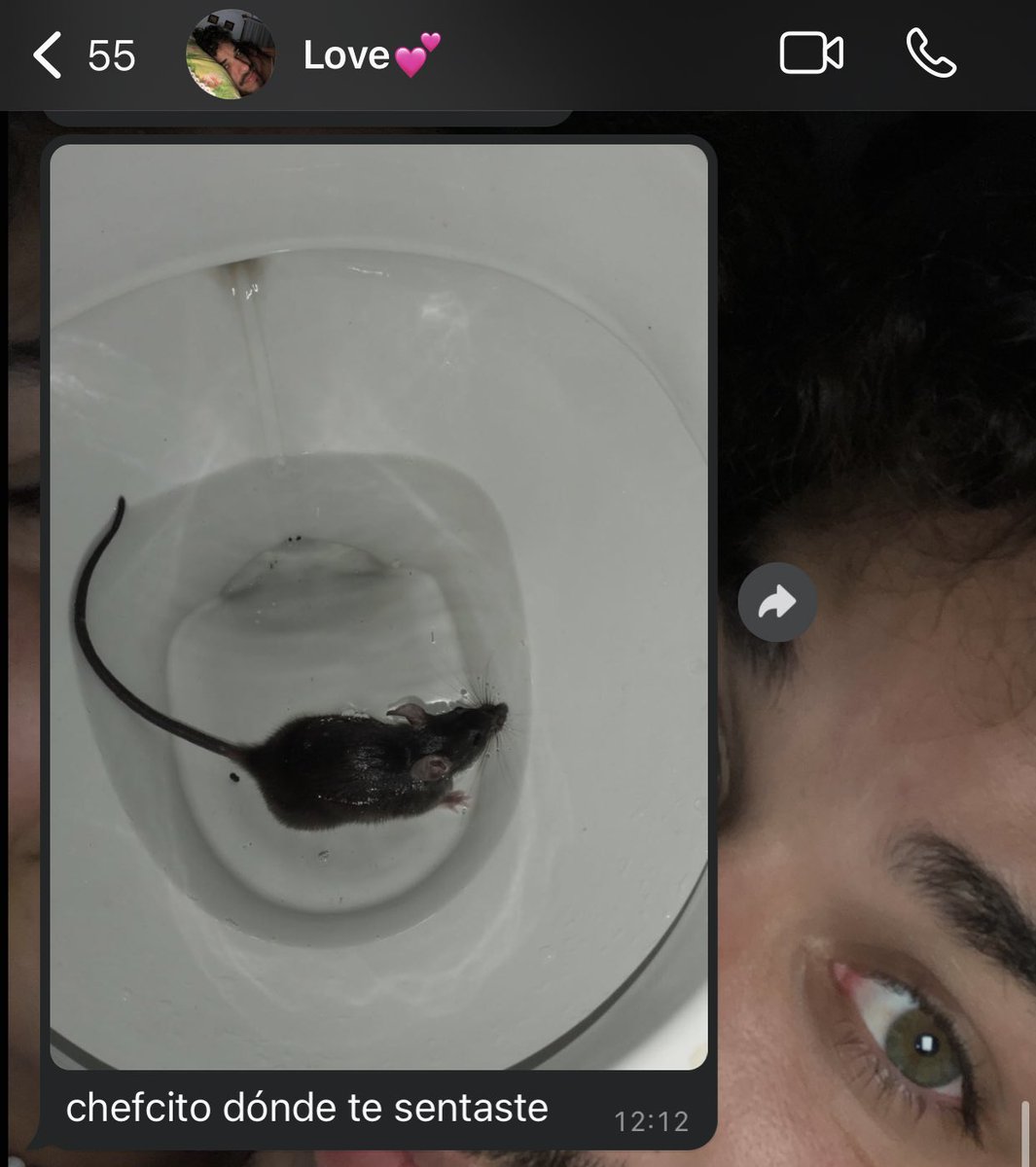 NOOOO chefcitooo