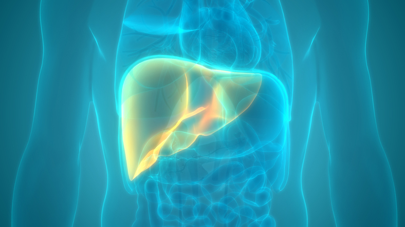 1/ Hepatitis B is serious and can lead to chronic infection, cirrhosis, or liver cancer. #hepB vaccines have been used safely for 40+ years. The CDC recommends universal vaccination for adults aged 19-59, including those who are pregnant.