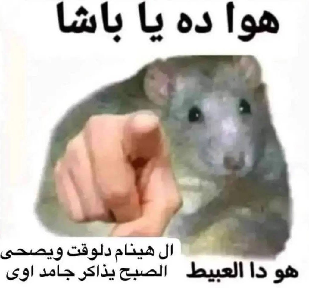 arabmemesss's tweet photo. https://t.co/ZDqJLzRrkm