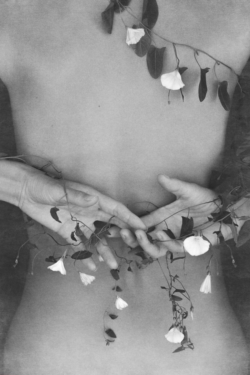 <a href="/Nightcafe_Art/">Night Cafe</a> Hi!

Gentle Embrace 
5 xtz

objkt.com/tokens/KT1QiBK…