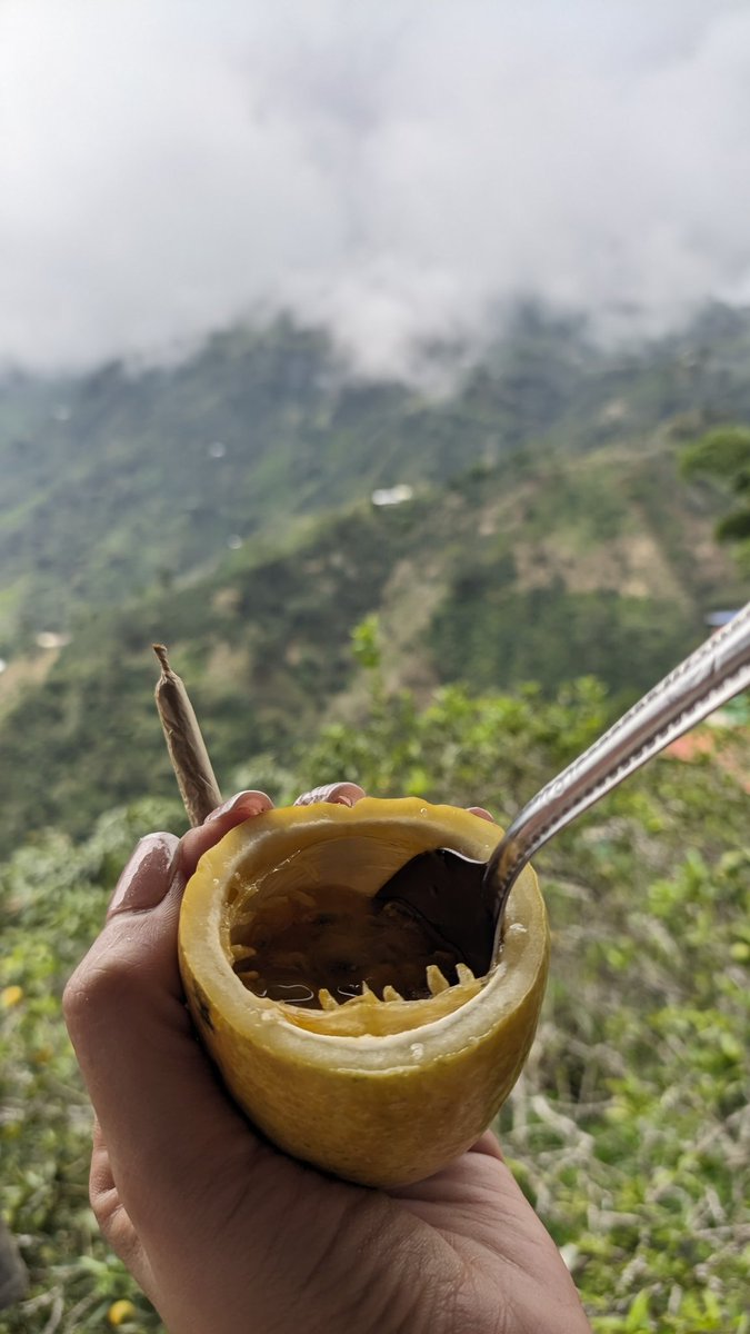 Anima_1518's tweet photo. Antojitos en la montaña 🍁😍 https://t.co/UunmiOb4lH