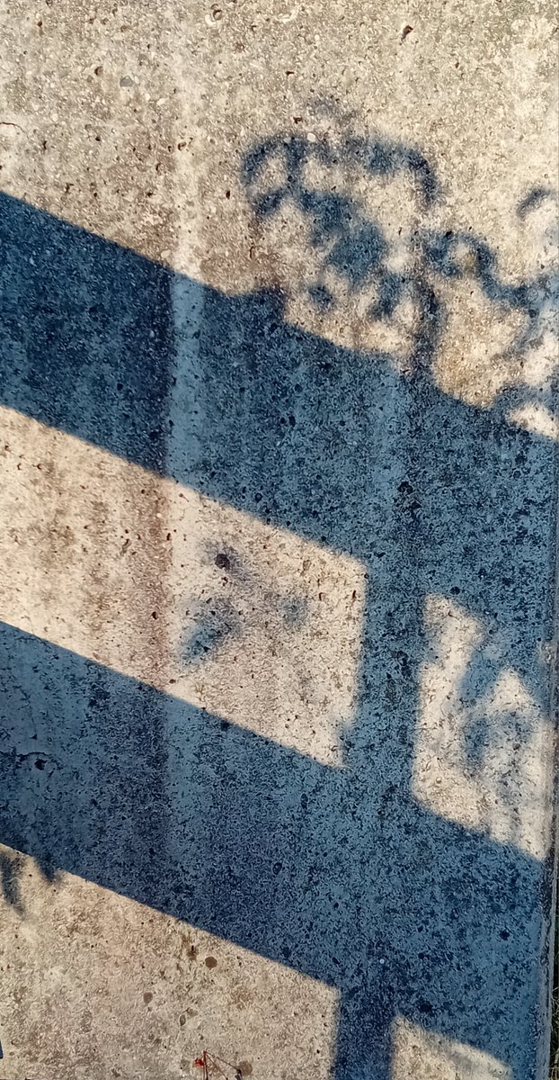 VVB_LJ's tweet photo. 17. XII. 2024, 14:51

#ShadowPoem https://t.co/GNLSFRSyTw