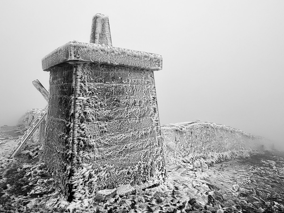 michael gray tweet media