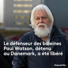 Les bonnes nouvelles sont rares,  célébrons-les ! Heureux que Paul Watson puisse recouvrer la liberté et retrouver ses proches en France. Longue vie à lui et à son combat pour les océans ! Retrouvez mon rapport parlementaire au nom de la commission des affaires étrangères sur la