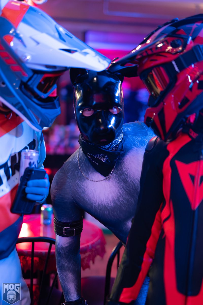 Am I interrupting something?

With <a href="/Ace_Mazrim/">Puppy Ace</a> and Pulse