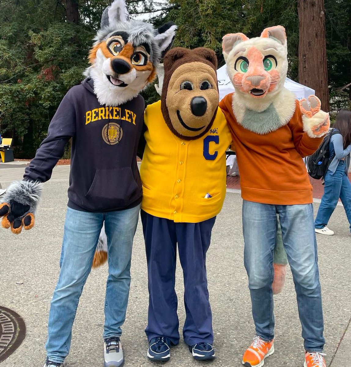 ripheyreb's tweet image. Is Oski and the #Calgorithm Furries? People are talking 

#WokeAgenda