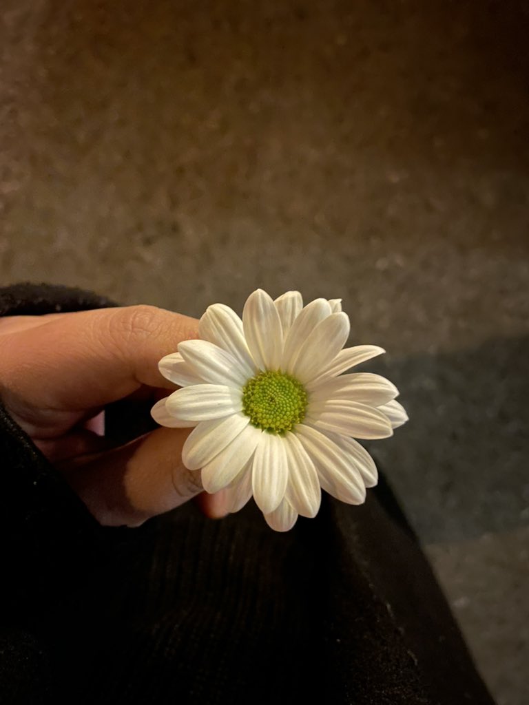 Tüm heveslerim gelecek yılda✨