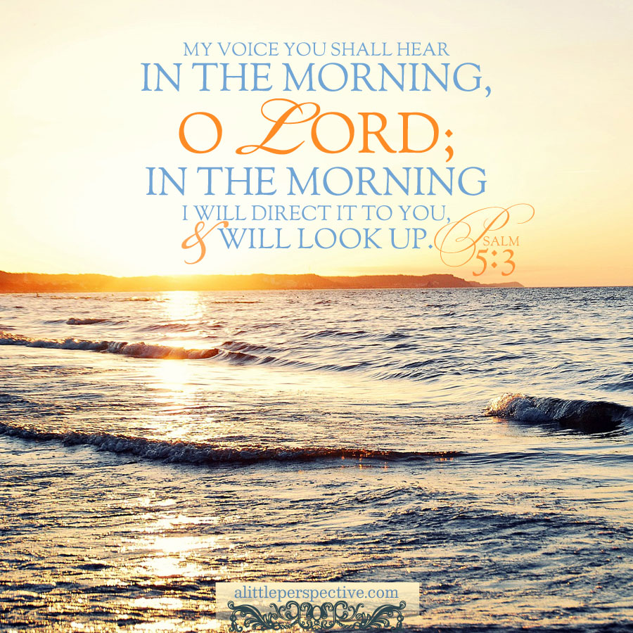 Christine982Mil's tweet photo. My voice You shall hear in the morning, O LORD; in the morning I will direct it to You, and will look up.

#Psalm 5:3 #Bible #Psalms #APsalmADay #VerseOfTheDay #DailyBread #Scripture #ScripturePictures #ScriptureArt https://t.co/lsvtn4Ng4s