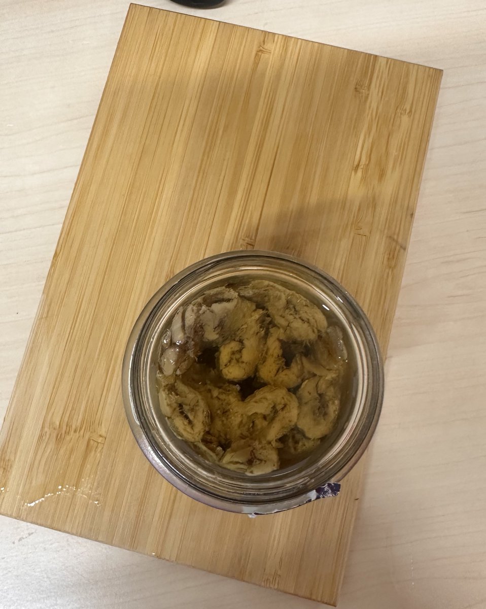 Beatriz. tweet media