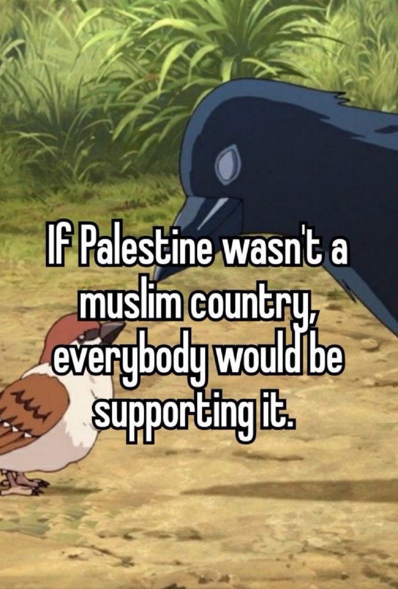 HalalNation_'s tweet photo. This is the sad truth 💯 https://t.co/nHvhGzeRTm