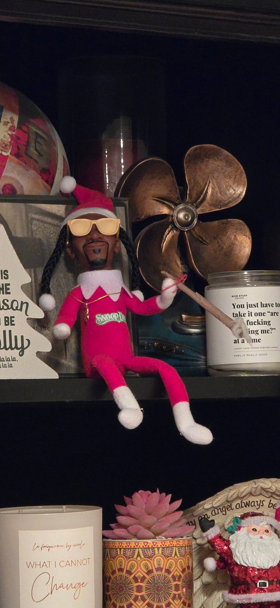 cbrophy78's tweet image. @SnoopDogg I was wondering what the proper scale for #blunt sizes for the #snoopOnAStoop.