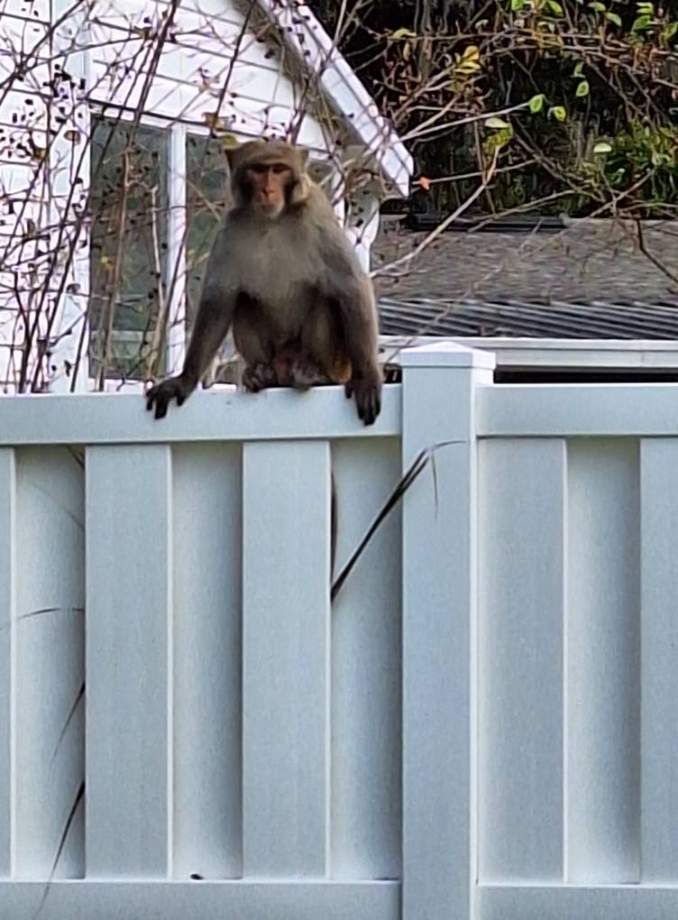 Volcaholic 🌋 tweet media