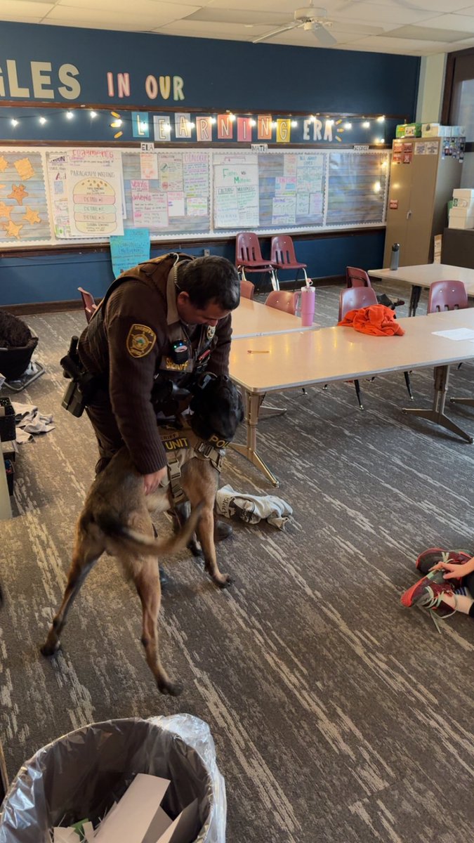 Kayl Hamre tweet media