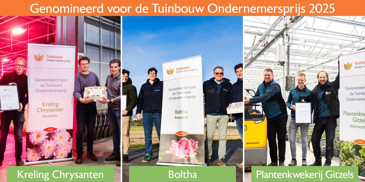 Een spannende tijd voor genomineerden Kreling Chrysanten, <a href="/BolthaBV/">Boltha</a> en Plantenkwekerij Gitzels 🎉. 

Wie wint de Tuinbouw Ondernemersprijs 2025? We weten het op 12 maart. 

#TopTuinbouw #tuinbouwondernemersprijs #topondernemers
