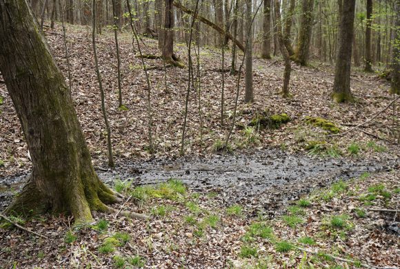 NCWatershedNetwork tweet media