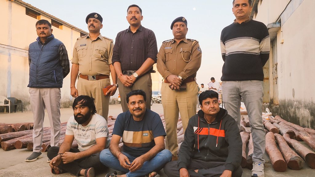 jsuryareddy's tweet photo. #RedSandalwood #Smuggling like #Pushpa movie
In a major inter-state crackdown, #AndhraPradesh Red Sanders Anti-Smuggling Task Force (#RSASTF) went far to #Patan in #Gujarat and seized nearly 155 #RedSandal logs weighing around 4.5 tons, worth approx ₹5 crore, smuggled from #Tirupati district, of Andhra Pradesh, to Gujarat. The RSASTF team with the help of local police arrested 3 accused involved in #Sandalwood Smuggling and took them to Tirupati.