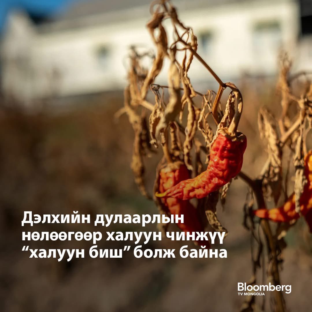 Mr.FIRST 🌏 (@firstbaatar) on Twitter photo 