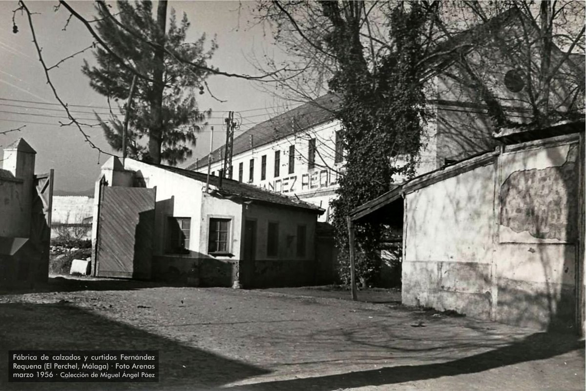 1/2 Continuamos con la colección de Miguel Ángel Páez, con reportaje de Foto Arenas en marzo de 1956 en El Perchel, zona de C/ Don Íñigo y Huerta de Antón; y aunque estaba centrado en la cervecera Victoria, también aparece la Fábrica de calzados y curtidos de Fernández Requena...