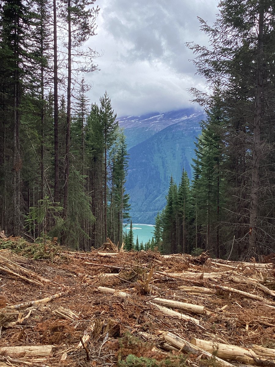 BC_FPBoard's tweet photo. #JustReleased - The latest Board audit report from the Valemount area reveals that bridge construction and maintenance continue to be a pervasive issue in B.C. forestry.
#ForestryAudit #Valemount
Full release: https://t.co/GDfwT8qKg0
Summary: https://t.co/gfGujFAUdL https://t.co/q6URCAfBhr