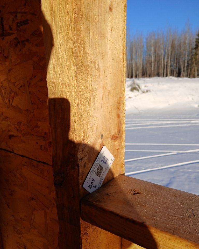 🎶On the 6th day Christmas, Dog Island gave to me... A great viewpoint on a new attraction to our town
#christmas #giftcards #beer #alberta #craftbeer