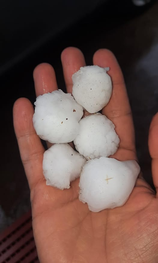 chechealumine's tweet photo. #BUTARANQUIL 🔴 Temporal de lluvia y granizo en el Alto Neuquen
📲 FM Patagonia - Juan Carlos Parada https://t.co/HGMXmrWEMt
