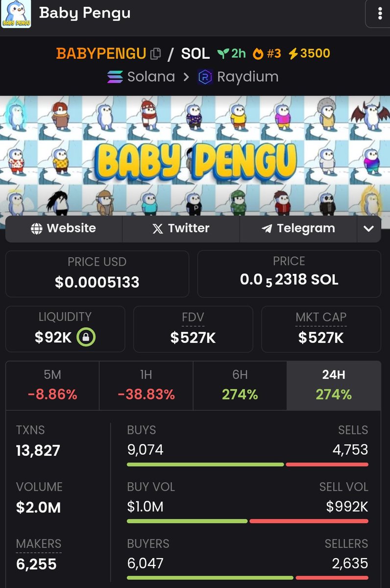 SmartKitty9000's tweet photo. With the amazing $PENGU Airdrop, another Memecoin #babypengu was created. Be careful as this might be pump and dump one. #possiblescam #memecoin https://t.co/20cpmKGM6y