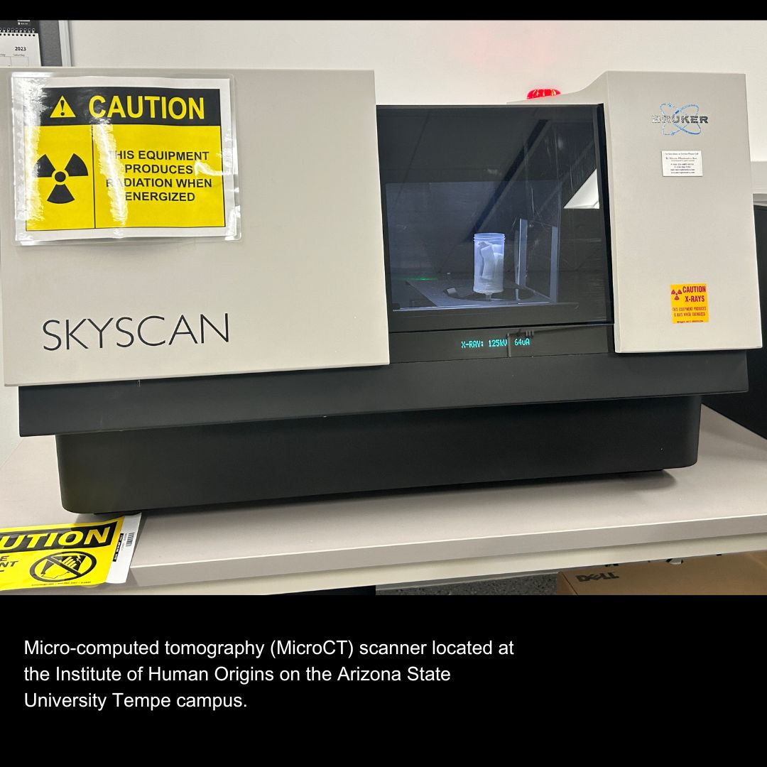 HumanOriginsASU's tweet image. Institute of Human Origins Research Scientist and @ASUBeingHuman Professor, Gary Schwartz runs an Advanced Visualization Lab with state-of-the-art scanning technology including a micro-computed tomography scanner (micro-CT). 💀
@ASUTheCollege