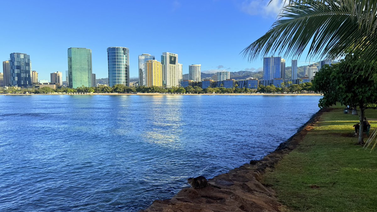 hawaii_isla808's tweet photo. Good morning from Ala Moana! Starting the day with a stunning sunrise at Ala Moana Beach Park, where the sky breathtaking colors. visit to Ala Moana Center to see the iconic giant Santa—always a highlight of the season! What a perfect way to welcome the day. 📸🤟🏼🎅🏼☕️☀️🌙❤️🎄 https://t.co/1psK7qohh8
