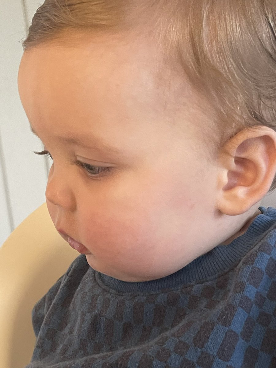 Dixie McElroy tweet media